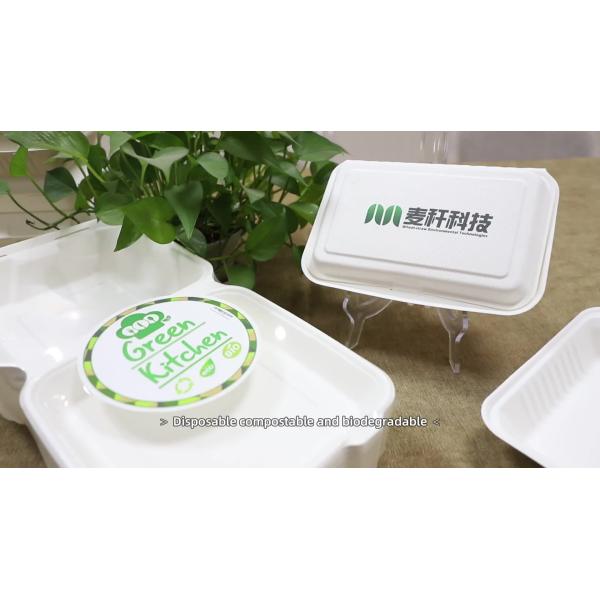 100% Biodegradable Disposable Sugarcane 1-2-3 Compartment Paper Lunch Boxes Food Container Sugarcane Bagasse tableware