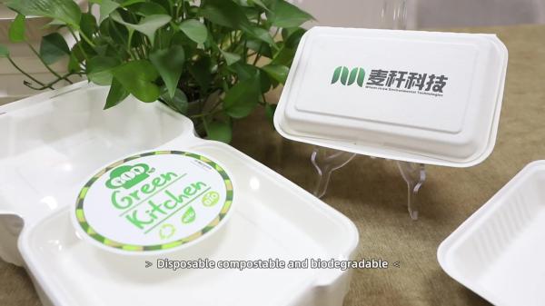 Disposable ECO Sugarcane Bagasse Pulp Heat-Resisting Microwaveable Take Out Food packaging Container