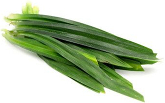 Pandan Powder, Pandan leaf Powder, Pandanus amaryllifolius lesf powder