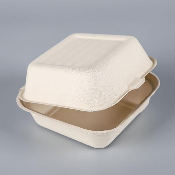 Sugarcane Eco Friendly Takeaway Food Containers , Tableware Paper Burger Box