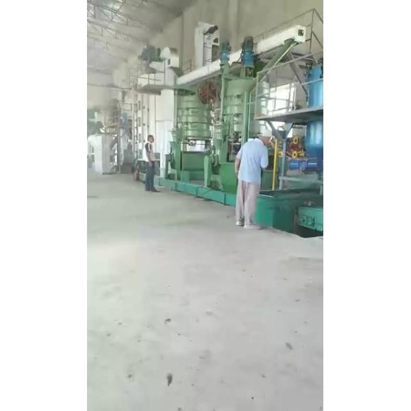 cooking peanut coocnut palm linseed rapeseed oil press line expeller extraction machine
