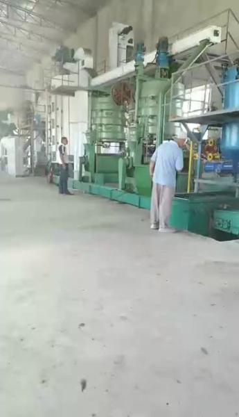 Peanut Rapeseed Corn Germ Soybean Canola Black Seed Oil Production Line