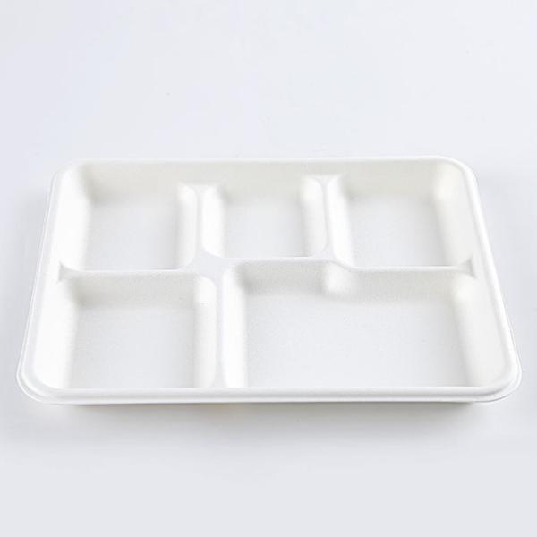 Paper 5 Compartment Disposable Plates , Sugarcane / Bagasse And Bamboo Biodegradable Take Out Containers