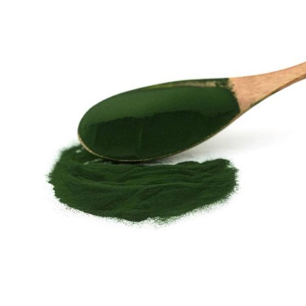 Chlorella powder, Alage Chlorella Powder, Chlorella protein, Alage Extract