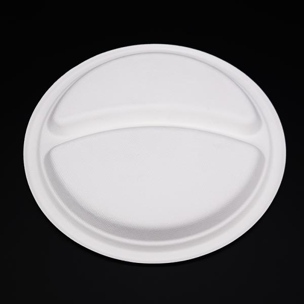Best Quality Promotional Biodegradable Takeaway Plates , Disposable Biodegradable Paper Plates
