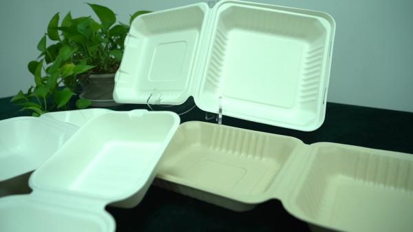 Heavy Duty 100% Natural Sugarcane Biodegradable Compostable Bagasse, Eco-friendly paper alternative take out fast food box