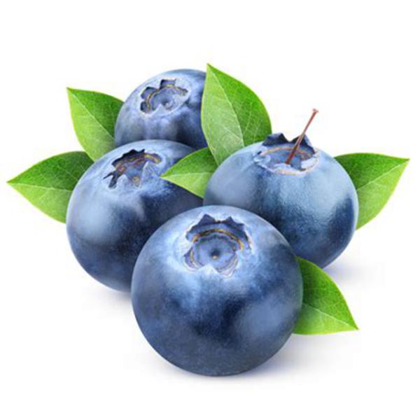 Blueberry Extract, Blueberry Leaf Extract, Blueberry Powder, Blueberry