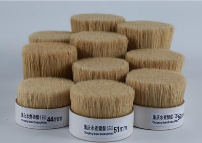 Boiled bristles