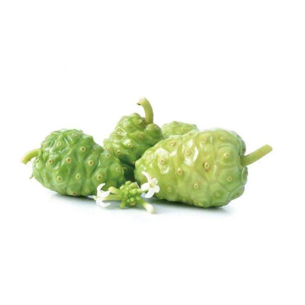 Noni fruit Powder, extract noni, Noni Fruit Extract 5:1, Morinda citrifolia Powder, natural Beverage ingrdients