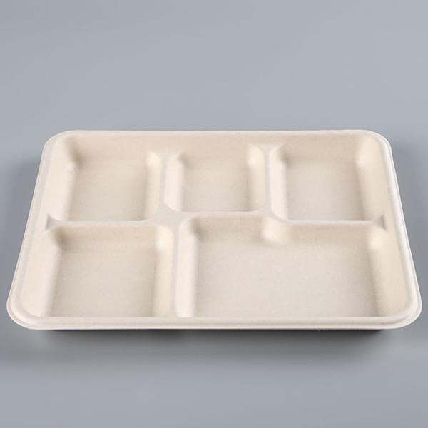Fiber 5 Section Compartment Biodegradable Disposable Tray Hot Selling