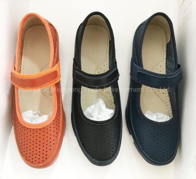 New Style Leather Shoes Fashion Shoes Suede Leather Sneaker Shoes Casual Shoes Walking Jogging Shoes Ladies Shoes Footwear Ladies Shoes