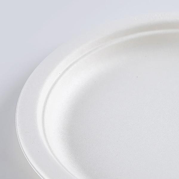 Biodegradable Snacks Sugar Steak Cane Bagasse Disposable Fast Food Plates round square oval rectangular