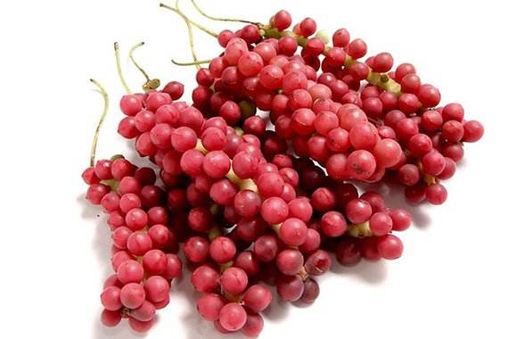 Schisandra Extract, Schizandra Berry Powder Extract, l Schisandrins, Schizandrin