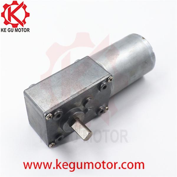 DC 6v 12v 24V Reduction Gearbox 58mm*40mm Diameter Brushless Worm Gear PMDC Motor 10rpm bl3650i