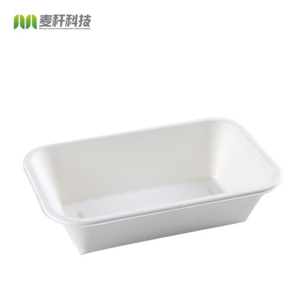 Rectangle 32oz Disposable Catering Trays With Lids Food Plant Pattern