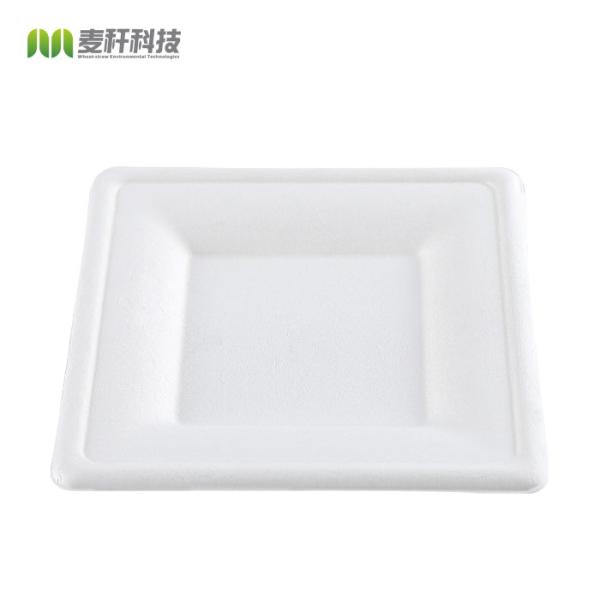 Eco Friendly Biodegradable Disposable Plate Sugarcane Bagasse Box Clamshell Tableware