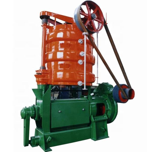 coconut palm cotton sunflower seed oil first press line expeller extracting machine