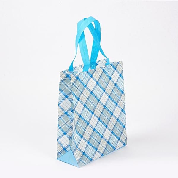 Reusable PP Non-Woven Fabric Shopping Bag Eco Packaging PP Nonwoven Shopping Bag Bag with Logo