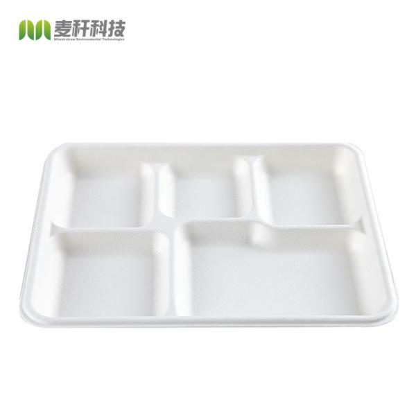 Lunch Biodegradable Disposable Tray Compostable Sugarcane Bassage Serving Use