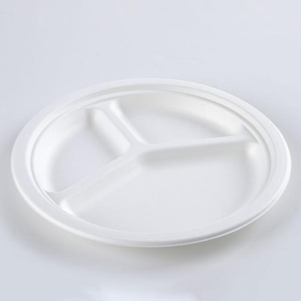 USA Market Compostable BBQ Tableware Bagasse 3 compartment Round Plate