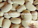 White Kidney Bean Extract, Phaseolus vulgaris extract, Phaseolamin--Extrato branco do