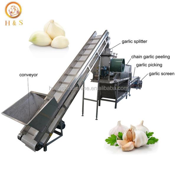 Automatic Garlic bulb breaking machine / Garlic peeler skin removing machine /Garlic peeling machine