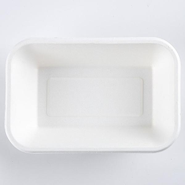2022 Free Plastic Disposable Serving Trays , Biodegradable Sugarcane Bagasse Food Fruit Trays
