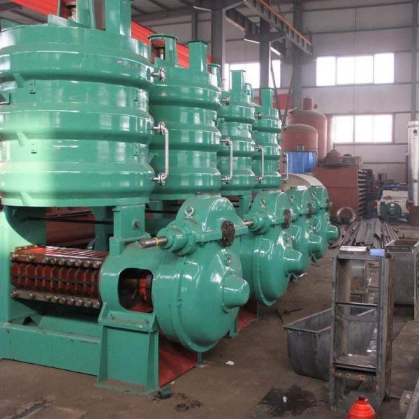High Quality of Screw Oil Press Machine for Vegetable Oil Plant