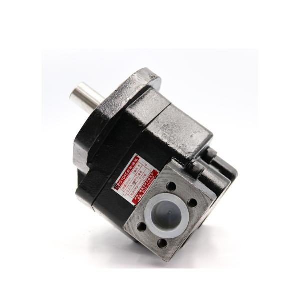 Forging Part Battery Powered Oil Gear Pump Slurry Hydraulic Gear Hyundai For Dump Truck