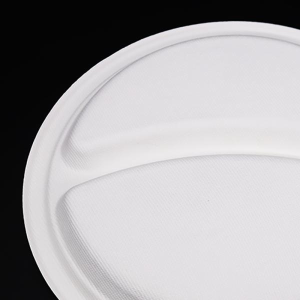 Best Quality Promotional Biodegradable Takeaway Plates , Disposable Biodegradable Paper Plates