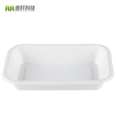 Sugarcane pulp bagasse tableware rectangular container tray for sushi pork burritos