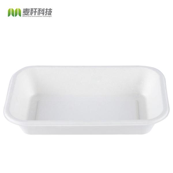 Sugarcane Pulp Biodegradable Disposable Tray Rectangular Dining Box