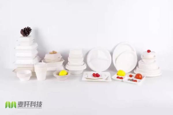 8 inches Biodegradable sugarcane bagasse 3 compartment food container box clamshell