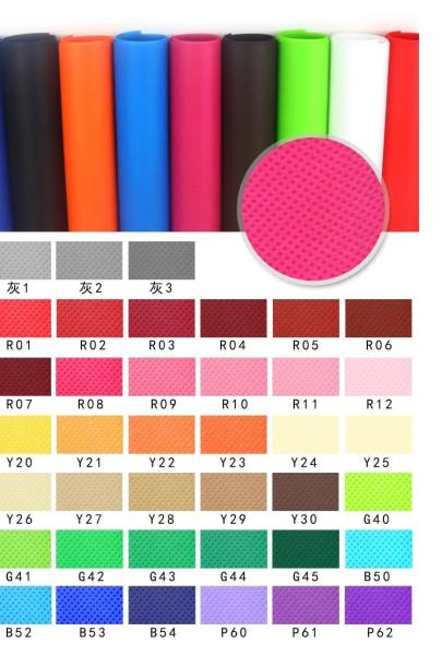 Non Woven Shopping PLA Gift Bag