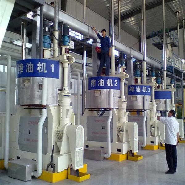 Vegetable Oil Production Line Peanut Oil Press Line