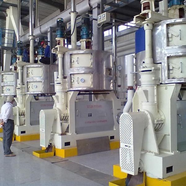 Oil Extraction Machine Walnut, Moringa Press Oil Machine Price Oil Expeller Machine