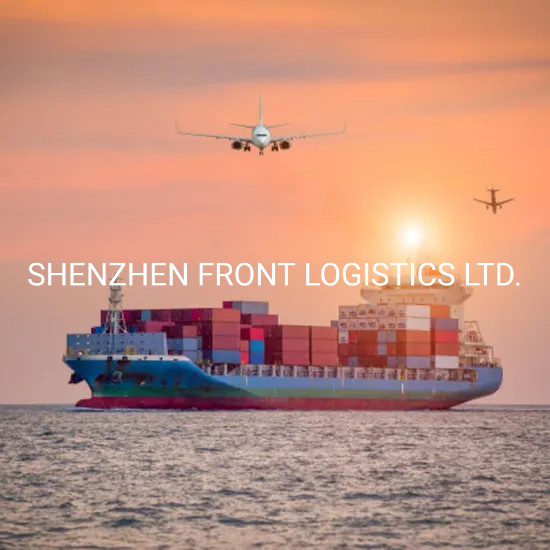 Favorable Ocean Freight Logistics Sea Freight Logistics From China To Valencia Spain