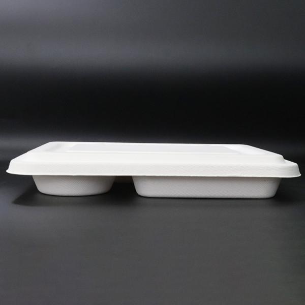 Eco Friendly Disposable Food Trays , Restaurant Sugarcane 5 Compartment Tray