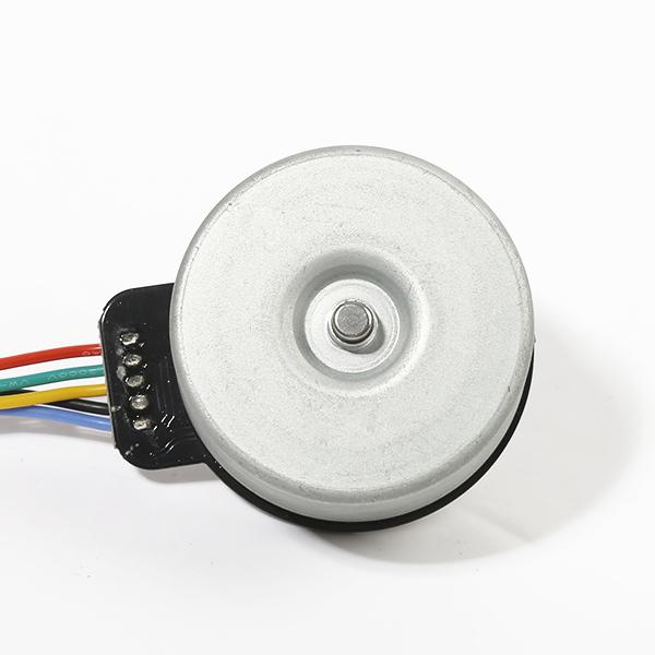 BL4525 factory Price 24V 23W 45mm bldc brushless dc motor 3200RPM for Fascia Massage Gun Massage Equipment BL45250