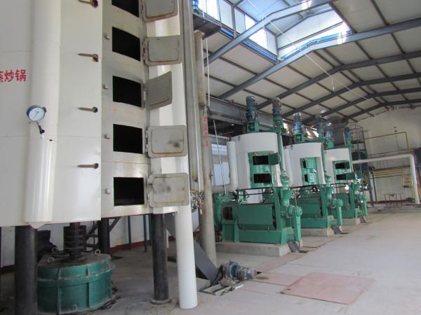 Longer Automatic Screw Sunflower Oil Press Machine/Sunflower Oil Refining Machine/Sunflower Oil Making Machine