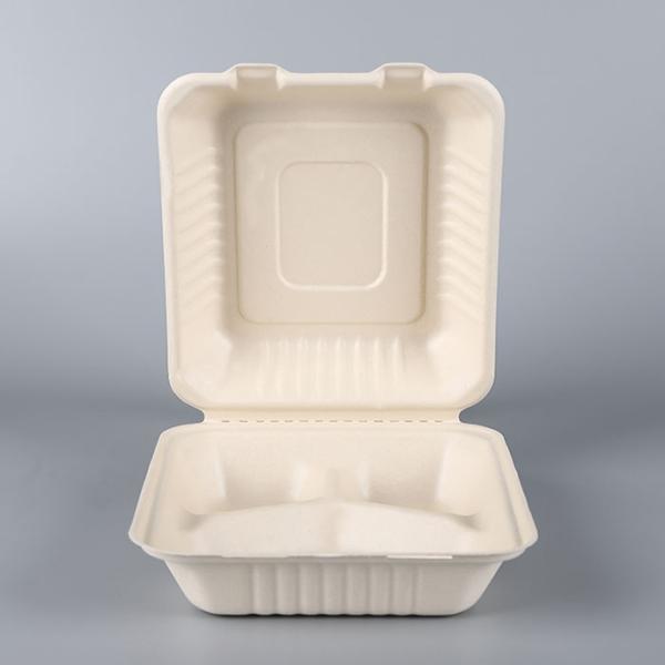 3 parts sugarcane bagasse pulp biodegradable compostable food paper boxes
