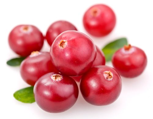 Cranberry Extract, Cranberry Proanthocyanidins, Cranberry Anthocyandins, Cranberry PAC BL-DMAC, Vaccinium Macrocarpon