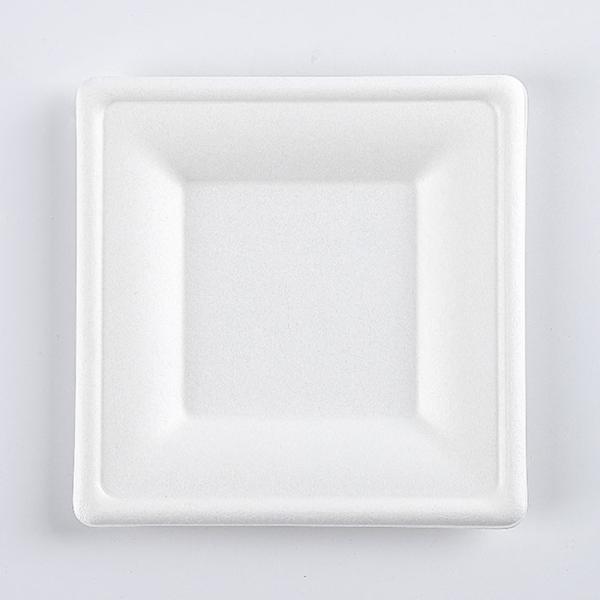 Disposable Dinnerware Set, Compostable Plant Based Cutlery Eco-Friendly Tableware