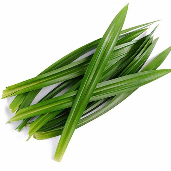 Pandan Powder, Pandan leaf Powder, Pandanus amaryllifolius leaf powder, leaf powder for food and beverage