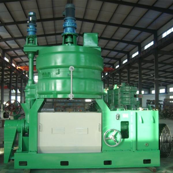 first press cotton seed or flower seed edible oil pre- press machine line