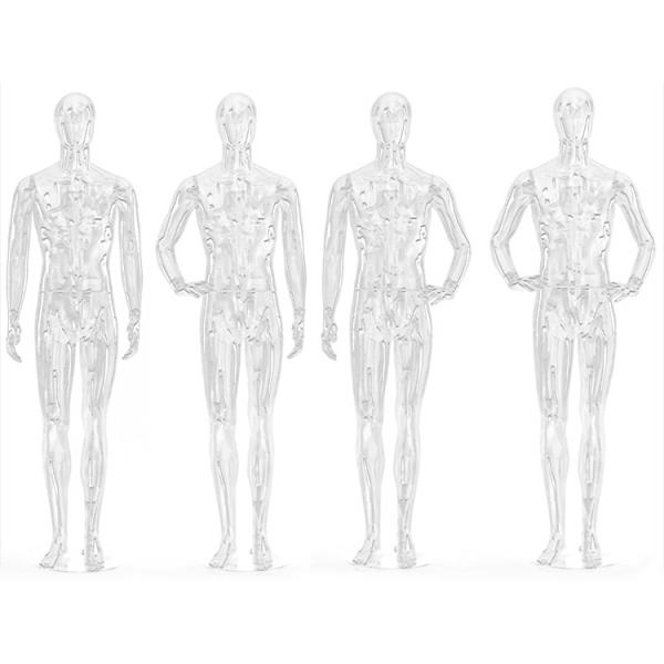 High Quality Male Manikin Transparent Mannequins female display Full Body Clear Mannequin