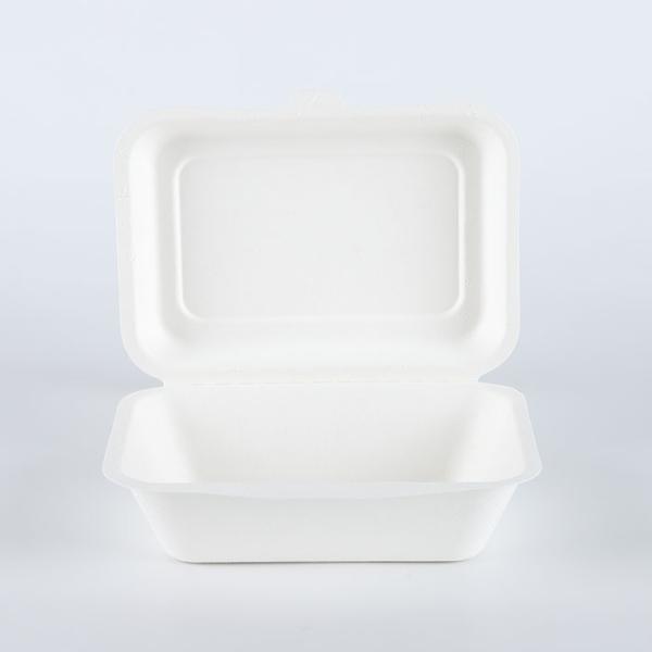 600ml sugar cane bagasse compostable takeout lunch box