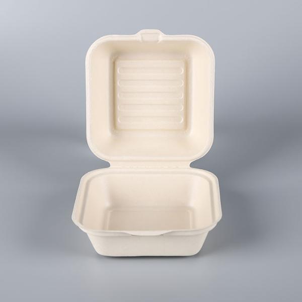 Hot disposable microwave food containers Bagasse pulp food boxes takeaway packaging disposable food container tableware