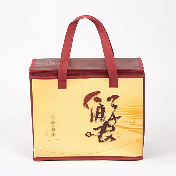China Manufacture Eco Friendly Bag Waterproof Thermal Non Woven Insulated Grocery Reusable Ice Bag Shop