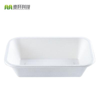 Rectangle 32oz Disposable Catering Trays With Lids Food Plant Pattern